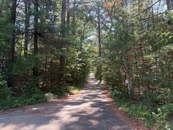 88 Colby Dr