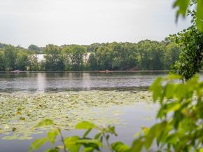 352 Charles River Rd 352, Watertown MA 02472