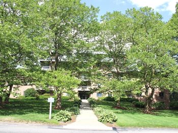 65 Commons Dr