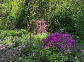 24 Manchaug Rd, Sutton MA 01590