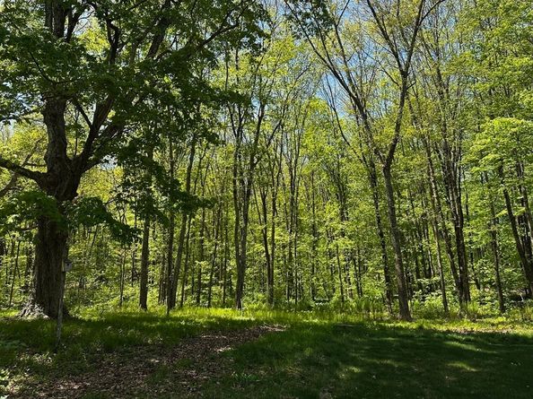 24 Manchaug Rd, Sutton MA 01590