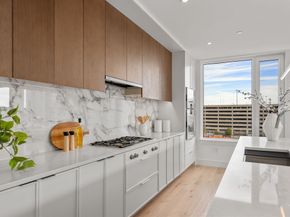 595 Albany Street PH, Boston MA 02118