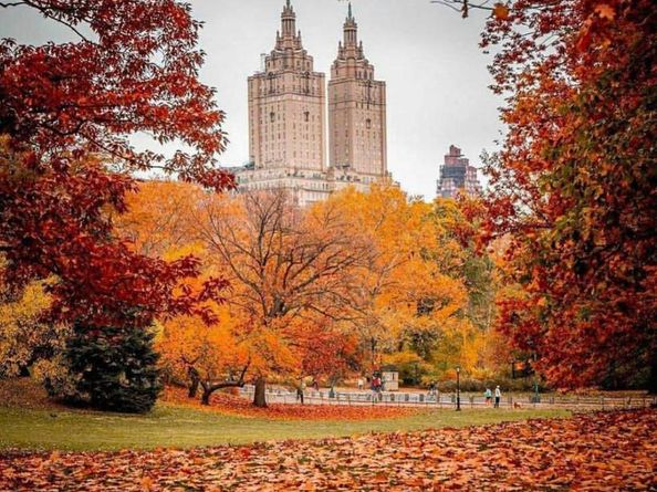 200 West 56th Street 29309PH, New York NY 10019