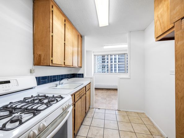 75 Henry Street 17J, Brooklyn NY 11201