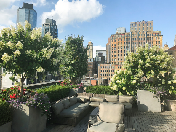 45 East 30th Street PHB, New York NY 10016