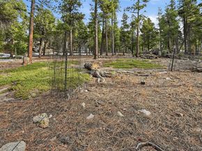 34089 Lyttle Dowdle Drive, Golden CO 80403