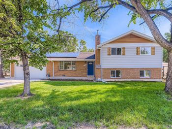 9917 Clark Drive