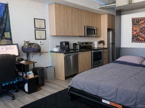 603 Inca Street 516, Denver CO 80204