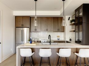 1749 -1755 N Williams Street, Denver CO 80218