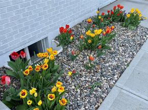 6457 Lee Street, Arvada CO 80004