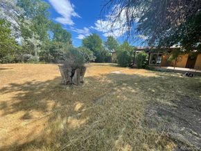6139 S Adams Drive, Centennial CO 80121