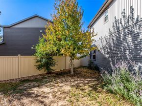 20031 Elgin Drive, Denver CO 80249