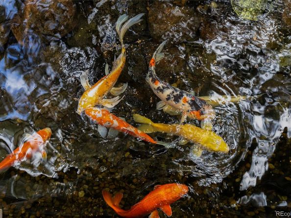 1950 S Milwaukee Street, Denver CO 80210