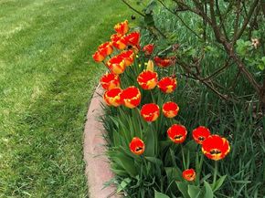 3396 W Arlington Avenue, Littleton CO 80123