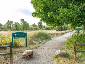 10095 W 41st Avenue, Wheat Ridge CO 80033