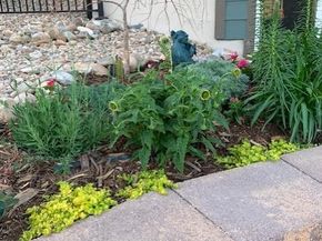 13063 Sandstone Drive, Broomfield CO 80021