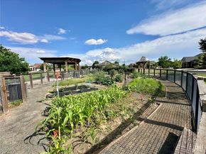 5519 Genoa Street, Denver CO 80249