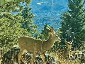 24999 Grandview Avenue, Golden CO 80401