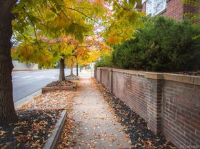 600 York Street, Denver CO 80206