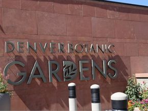 1365 Columbine Street 101, Denver CO 80206