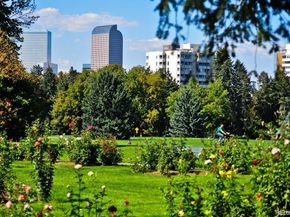 1365 Columbine Street 101, Denver CO 80206