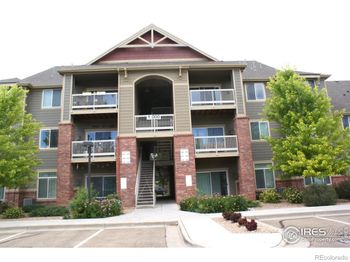 804 Summer Hawk Drive