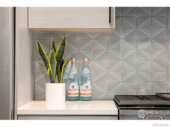 405 Harrison Street 3, Denver CO 80206