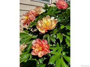 8330 Garland Drive, Arvada CO 80005