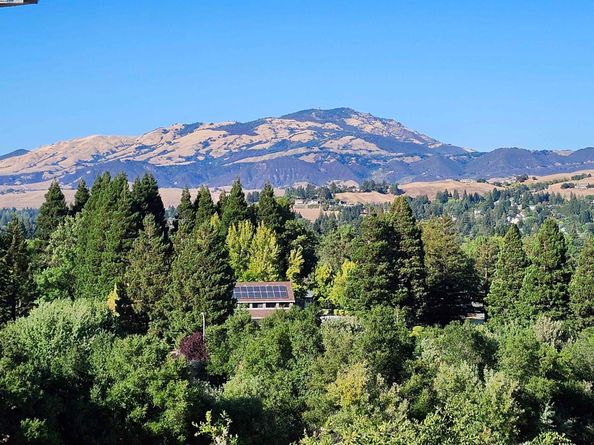 1823 Mockingbird Pl, Danville CA 94526