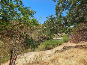 86 Candleston Place, Alamo CA 94507