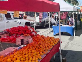 711 Haight Ave, Alameda CA 94501