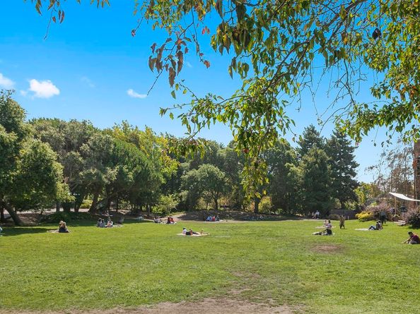 1130 Derby St, Berkeley CA 94702