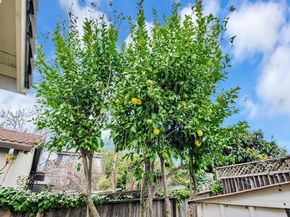 2716 Killdeer Ct, Union City CA 94587