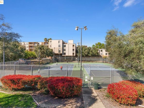 470 N N Civic Drive 105, Walnut Creek CA 94596