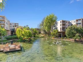 470 N N Civic Drive 105, Walnut Creek CA 94596