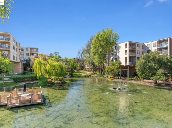 470 N N Civic Drive 105, Walnut Creek CA 94596