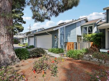 2378 Cheshire Place