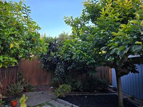 2954 Delaware St, Oakland CA 94602