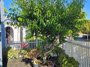 2954 Delaware St, Oakland CA 94602