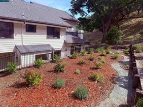 58 Saddle Rd., Walnut Creek CA 94595