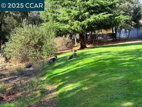 10 Tarn Ct, Hercules CA 94547