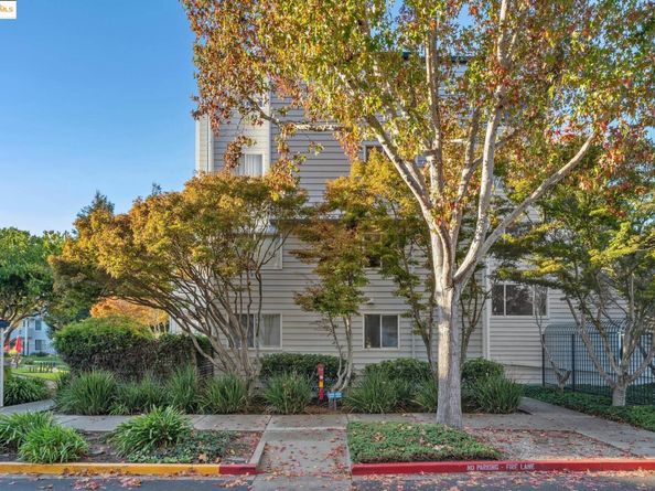 1207 Melville Sq 417, Richmond CA 94804