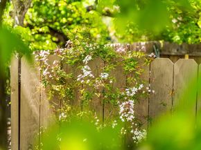 484 El Pintado Rd, Danville CA 94526