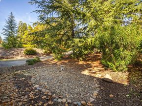 298 Valle Vista Dr, Danville CA 94526