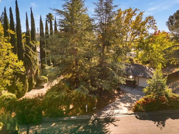 298 Valle Vista Dr, Danville CA 94526
