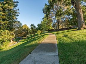 843 Luz Ct., Danville CA 94526