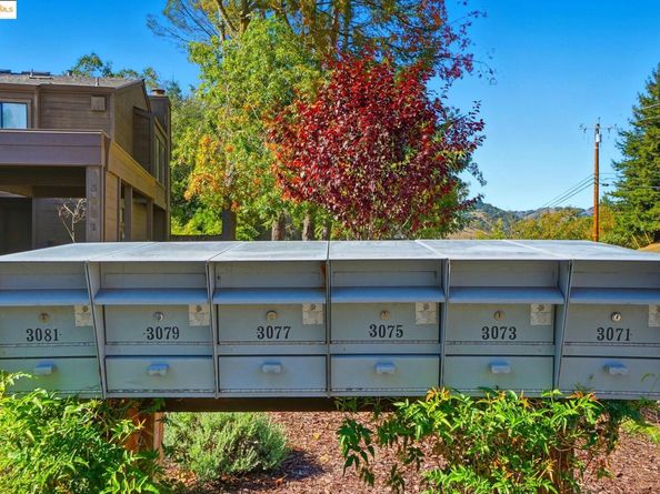 3075 Camino Diablo, Lafayette CA 94549