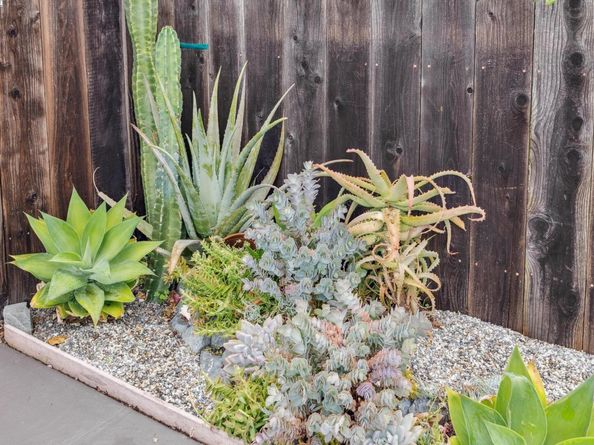 1611 Lea Ct, Alameda CA 94501