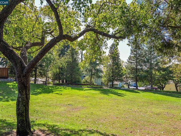 61 Fountainhead Ct, Martinez CA 94553