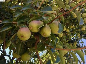 348 Dowling Blvd, San Leandro CA 94577